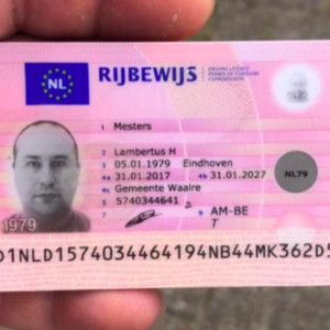 Buy Database Netherlands driver's-license