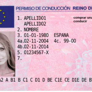 Buy Database Spain Driver's-License