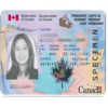 Buy Database Canada ID-Card