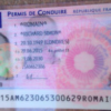 Buy Database France Driver's License