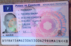 Buy Database France Driver's License