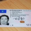 Buy Database Swedish Driver's-License
