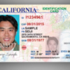 Buy Database USA ID Card