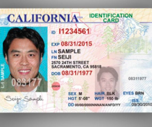 Buy Database USA ID Card