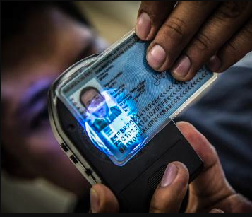 buy database document online